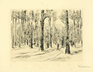 Tiergarten